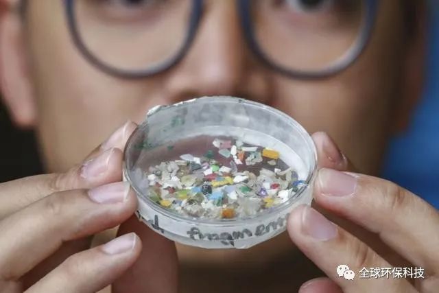 關(guān)于“微塑料”的危害，你了解多少？